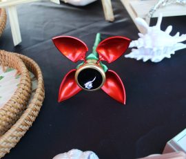 Gallery - Together We Grow